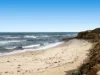 3 Lillian Street, Rye, Vic 3941-Image