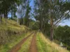 3 Moss Beds Rd, Lachlan, Tas 7140