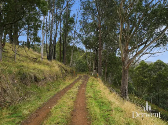 3 Moss Beds Rd, Lachlan, Tas 7140