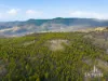 3 Moss Beds Rd, Lachlan, Tas 7140-Image