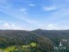 3 Moss Beds Rd, Lachlan, Tas 7140-Image