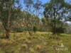 3 Moss Beds Rd, Lachlan, Tas 7140-Image