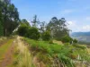 3 Moss Beds Rd, Lachlan, Tas 7140-Image