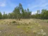3 Moss Beds Rd, Lachlan, Tas 7140-Image