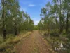 3 Moss Beds Rd, Lachlan, Tas 7140-Image