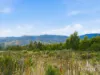 3 Moss Beds Rd, Lachlan, Tas 7140-Image