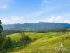 3 Moss Beds Rd, Lachlan, Tas 7140-Image