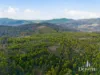 3 Moss Beds Rd, Lachlan, Tas 7140-Image