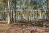 3 Pauciflora Drive, London Lakes, Tas 7140-Image