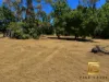 3 Pickerings Lane, Edgecombe, Vic 3444-Image