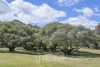 3 Plumage Close, Margaret River, WA 6285-Image