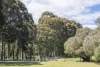 3 Plumage Close, Margaret River, WA 6285-Image