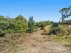 3 Protheroe Court, Nubeena, Tas 7184-Image