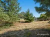 3 Protheroe Court, Nubeena, Tas 7184-Image