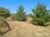3 Protheroe Court, Nubeena, Tas 7184-Image