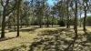 3 Raintree Avenue, Burrum Heads, Qld 4659-Image