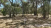 3 Raintree Avenue, Burrum Heads, Qld 4659-Image