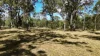 3 Raintree Avenue, Burrum Heads, Qld 4659-Image
