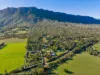 3 Torbreck Street, Taggerty, Vic 3714-Image
