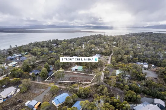3 Trout Crescent, Miena, Tas 7030