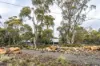 3 Trout Crescent, Miena, Tas 7030-Image