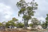3 Trout Crescent, Miena, Tas 7030-Image