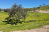 3 Windmill Way, Clarence Town, NSW 2321-Image