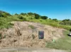 3 Yardley Court, Bowen, Qld 4805-Image