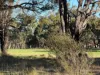 30 First Avenue, Kendenup, WA 6323-Image