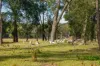 30 Niclins Road, Mangrove Mountain, NSW 2250