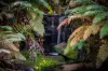 30 Niclins Road, Mangrove Mountain, NSW 2250-Image