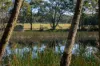 30 Niclins Road, Mangrove Mountain, NSW 2250-Image