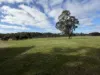 30 Scott Lane, Maryborough, Vic 3465-Image