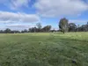 30 Scott Lane, Maryborough, Vic 3465-Image