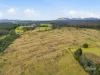 3009 Castra Road, Nietta, Tas 7315-Image