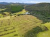 3009 Castra Road, Nietta, Tas 7315-Image
