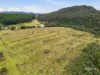 3009 Castra Road, Nietta, Tas 7315-Image