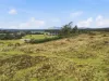 3009 Castra Road, Nietta, Tas 7315-Image