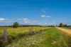 3047 ULAN ROAD, Mudgee, NSW 2850-Image