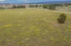3047 ULAN ROAD, Mudgee, NSW 2850-Image