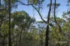 305 Tinderbox Road, Tinderbox, Tas 7054-Image