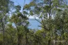 305 Tinderbox Road, Tinderbox, Tas 7054-Image
