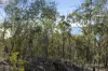 305 Tinderbox Road, Tinderbox, Tas 7054-Image