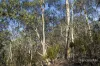 305 Tinderbox Road, Tinderbox, Tas 7054-Image