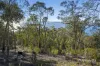 305 Tinderbox Road, Tinderbox, Tas 7054-Image