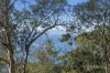 305 Tinderbox Road, Tinderbox, Tas 7054-Image
