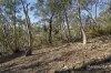 305 Tinderbox Road, Tinderbox, Tas 7054-Image