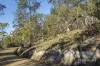 305 Tinderbox Road, Tinderbox, Tas 7054-Image