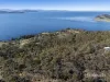 305 Tinderbox Road, Tinderbox, Tas 7054-Image