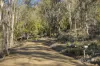 305 Tinderbox Road, Tinderbox, Tas 7054-Image
